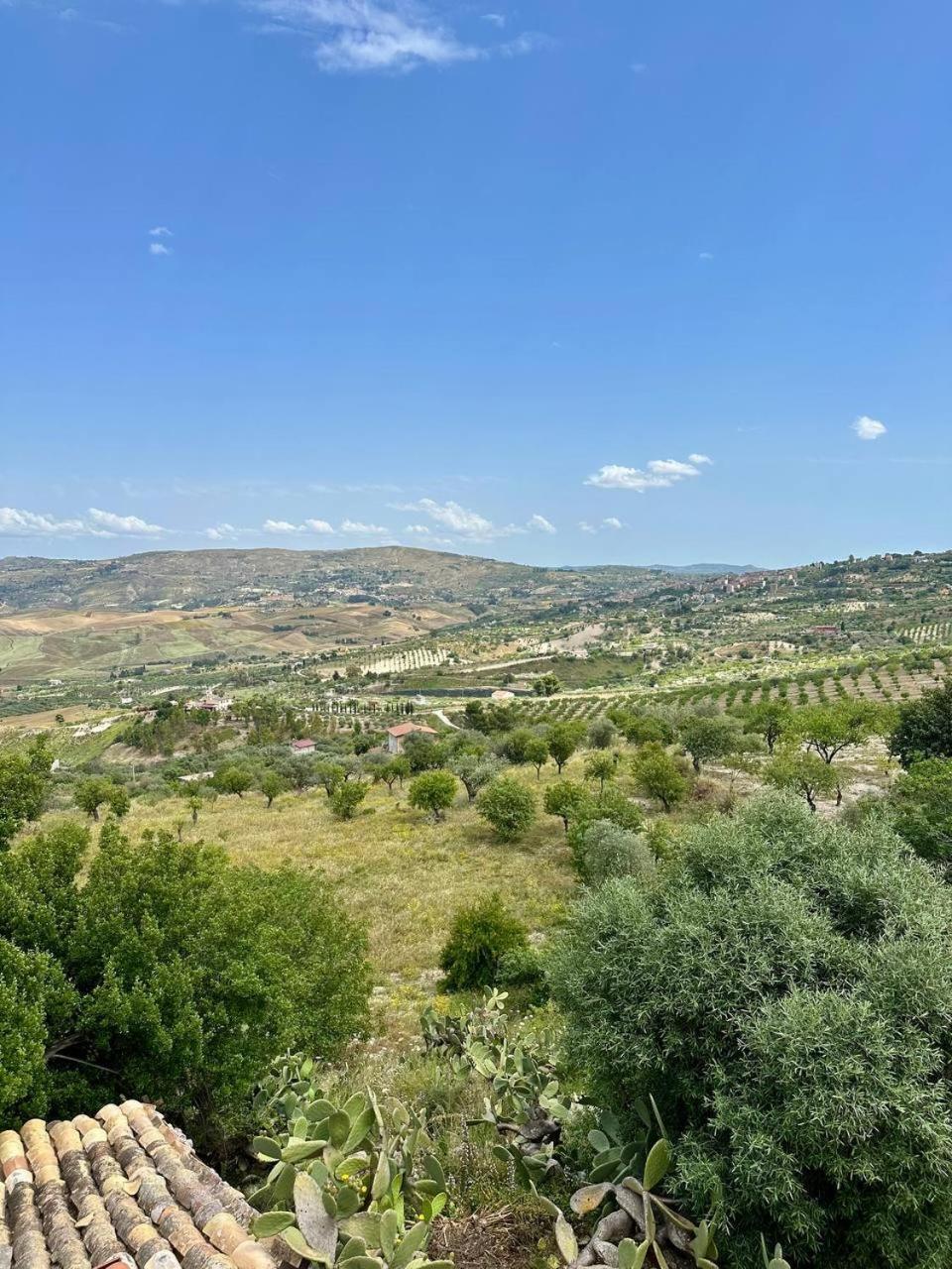 Roba Albanisi Hotel Aragona Luaran gambar